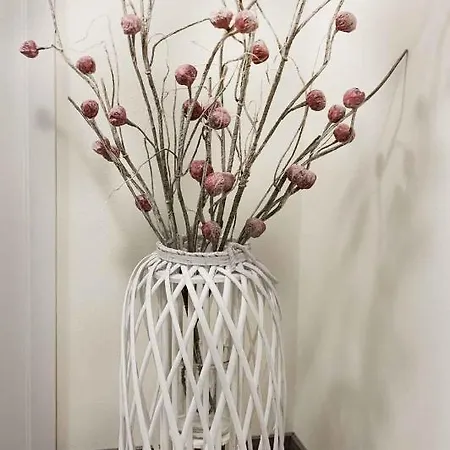 Apartamento Panorama 19 Špindlerŭv Mlýn