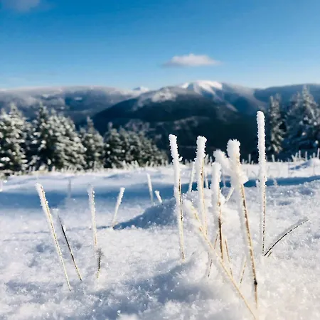 Apartmán Panorama 19 *